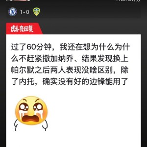 切尔西1比0小胜利兹联，麦克法兰战术引关注|佩德罗·洛姆巴·内托|亚历杭德罗·加纳乔|梅西|派兵|比赛_新浪体育_新浪新闻